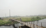 Cầu chờ dự án
