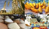 Xuất khẩu nông sản giảm mạnh: Không thể ngồi một chỗ đợi tăng giá