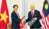 Ngay sau hội đàm, Thủ tướng Nguyễn Tấn Dũng và Thủ tướng Najib Rajak ký Tuyên bố về khuôn khổ Đối tác chiến lược Việt Nam - Malaysia và chứng kiến ký kết 3 văn bản hợp tác, gồm cấp phép về nguyên tắc cho ngân hàng CIMB, hợp tác trong lĩnh vực lao động và 