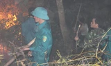 Các lực lượng đang nỗ lực cứu 40 ha rừng trồng ở TP Lạng Sơn bị cháy