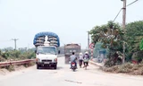 Xe quá tải trên đường đê thuộc địa phận quận Bắc Từ Liêm.