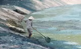 Sở Xây dựng hồi âm vụ hồ Ngọc Khánh ô nhiễm