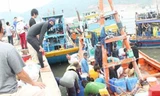 Tăng hạn hỗ trợ ngư dân vùng cá chết