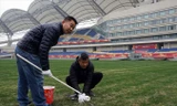 Nhân viên kỹ thuật kiểm tra mặt cỏ và sơn vạch vôi trên sân Côn Sơn sáng 8/1. Ảnh: Hữu Phạm.