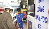 Đại diện Cục Cạnh tranh và Bảo vệ người tiêu dùng cho rằng, dù luật không cấm nhưng cũng không nên chỉ bán duy nhất xăng sinh học. Ảnh: Như Ý.