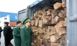 Cơ quan chức năng kiểm tra gỗ nhập khẩu. Ảnh: minh họa.