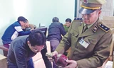 Kiểm tra hàng lậu trên địa bàn Hà Nội