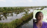 Đồng ruộng xã An Xuyên (thành phố Cà Mau) chuyển sang nuôi tôm (ảnh to); Bà Nguyễn Thị Bỉ: “Nuôi tôm, nuôi cua thu nhập gấp nhiều lần so với trồng lúa và không phải bỏ công lao động nhiều” (ảnh nhỏ).