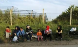 Một nhóm người di cư ngồi ở biên giới Serbia - Croatia. Ảnh: Daily Mail