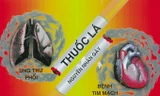 Thuốc lá là nguyên nhân gây nên bệnh tim mạch và ung thư phổi.