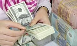 Tỷ giá VND/USD sẽ tăng mạnh do cầu ngoại tệ tăng?