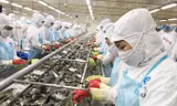 Thủy sản là một trong lĩnh vực góp phần quan trọng giúp toàn ngành nông nghiệp hướng mục tiêu xuất khẩu 40-40,5 tỷ USD năm 2018. Ảnh: Bình Phương.