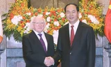 Chủ tịch nước Trần Đại Quang và Tổng thống Ireland Michael Higgins tại lễ đón sáng 7/11. Ảnh: TTXVN