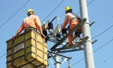 Cán bộ kỹ thuật Điện lực Hải Phòng sửa chữa đảm bảo an toàn lưới điện