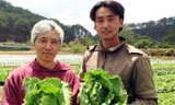 Người Nhật liên kết trồng rau sạch tại Đà Lạt.