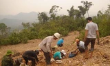 Trên bãi vàng Bồng Miêu. Ảnh: Dân Trí