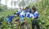  Tình nguyện vì cộng đồng là một trong những hoạt động giáo dục lối sống đẹp cho thanh niên. Ảnh: T.L