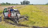 Máy đang gặt lúa của ông Đỗ Văn Tuấn . Ảnh: Hòa Hội