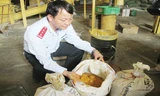 Lực lượng thanh tra liên ngành kiểm tra lô hàng vi phạm về chất cấm của Cty TNHH Thức ăn chăn nuôi Trường Phú (Hải Dương). Ảnh: Nam Khánh