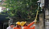 Công nhân điện lực Hà Nội đang sử dụng gậy chốt số điện