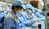 Nhiều sức ép với các doanh nghiệp nhỏ và vừa cũng như với hàng xuất khẩu của Việt Nam hơn khi CPTPP có hiệu lực. Ảnh: Như Ý.