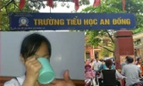 Một HS lớp 3 tại trường tiểu học An Đồng (An Dương, Hải Phòng) bị cô giáo phạt bằng cách bắt uống nước vắt từ giẻ lau bảng.