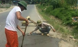 Hình ảnh người dân tự vá ổ gà trên đường Quốc lộ 70 đăng tải trên mạng xã hội.