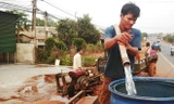 Người dân phải đi mua nước về dùng.