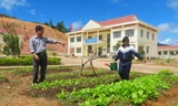 Thầy trò vùng cao cùng trồng rau cải thiện bữa ăn
