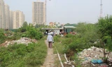 Tình trạng lấn chiếm, vi phạm tràn lan khiến phường Mễ Trì hết quỹ đất dành cho các công trình công cộng. Ảnh: DN