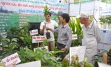 Người dân tham gia triển lãm giống nông nghiệp năm 2016