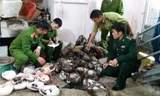  Cơ quan chức năng phát hiện số lượng lớn động vật hoang dã.