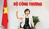 Theo Ủy ban Kiểm tra Trung ương, trong thời gian dài, Thứ trưởng Hồ Thị Kim Thoa đã nhiều lần kê khai tài sản, thu nhập không đúng, không đầy đủ theo quy định về kê khai tài sản, thu nhập