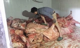 -Bắt quả tang trên 4 tấn thịt thối suýt trở thành món đặc sản *ảnh: Nông Đạt