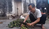 Chờ bồi thường oan sai, 'tử tù' Hàn Đức Long ngập trong nợ nần