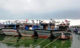 Tàu thuyền đánh bắt xa bờ về trú tránh bão tại âu thuyền Phú Hải (huyện Phú Vang, TT-Huế). 