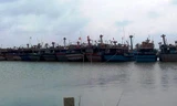 Tàu thuyền đánh bắt trên biển được gọi vào bờ an toàn và bố trí xong nơi trú tránh bão số 7. 