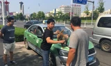 Tài xế taxi (áo xám) tranh cãi với vị khách và con khỉ.