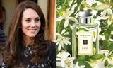 Những mùi nước hoa được Hoàng gia Anh và hai nàng dâu Kate - Meghan ưa chuộng