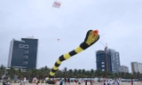 Diều rắn 100 mét nhào lộn trên bờ biển Đà Nẵng