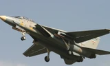 Chiến cơ F-14 của quân đội Iran. Ảnh: Wikipedia