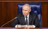 Tổng thống Nga Putin nhận hơn 2 triệu câu hỏi trước phiên hỏi đáp cuối năm