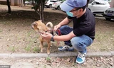 Nhân viên y tế thả Xiao Bao đi xa nhưng chú chó nhỏ vẫn tìm đường quay về bệnh viện tìm chủ. 