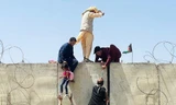 Người dân Afghanistan trèo tường vào sân bay Kabul. Ảnh: Getty