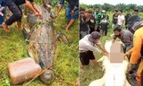 Mổ bụng cá sấu khổng lồ, tìm thấy thi thế bé trai còn nguyên vẹn