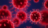 Phát hiện biến thể SARS-CoV-2 mới có đột biến giống Alpha và Beta