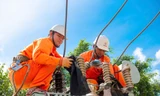 Đảng bộ EVNCPC nhận bằng khen trong thực hiện 'Người Việt Nam ưu tiên dùng hàng Việt Nam'