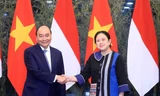 Chủ tịch nước: Quan hệ Việt Nam-Indonesia ngày càng phát triển mạnh mẽ