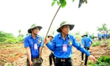 Đại hội có nhiều hoạt động an sinh xã hội, hướng về cộng đồng. (Trong ảnh, các đại biểu Đại hội thanh niên làm theo lời Bác lần thứ V tham gia trồng cây thực hiện công trình thanh niên) Ảnh: Xuân Tùng