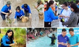 Tuần đầu Chiến dịch Thanh niên tình nguyện Hè năm 2023: Hơn 297 nghìn lượt tình nguyện viên tham gia
